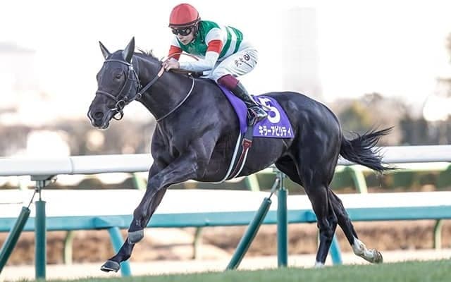 2000m戦は4戦3勝 過去10年で6勝挙げるディープ産駒の4歳馬が大阪杯に参戦