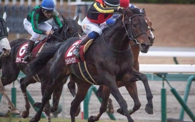 “大阪杯男”の川田将雅騎手 相性の良さ追い風にヴェルトライゼンデで2年ぶり制覇だ