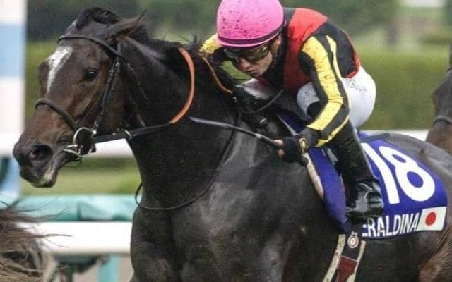大阪杯61年ぶりの牝馬ワンツースリー!? 現役屈指の強豪3頭がエントリー