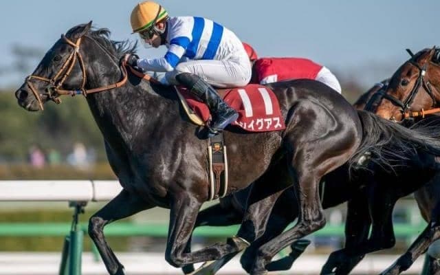 堀厩舎×松山騎手の強力タッグ ヒシイグアスが大阪杯で悲願のGI初制覇へ