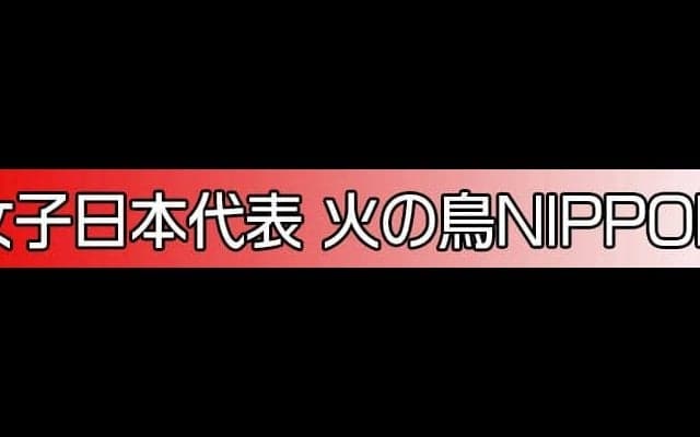 バレーボール日本代表・龍神NIPPON・火の鳥NIPPON　2023特設サイト