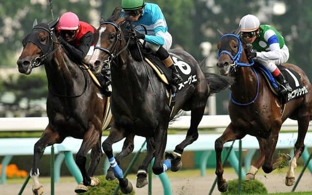 タイトルホルダーの母メーヴェに5年ぶりの産駒誕生 父ベンバトルの牝馬