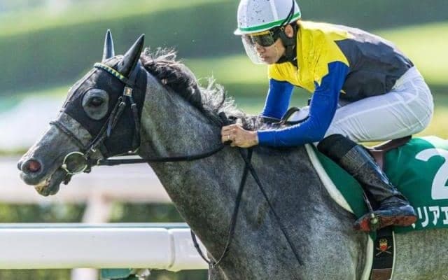 クロフネ産駒19年連続JRA重賞Vなるか 歴代1位タイの快挙へマリアエレーナが大阪杯参戦