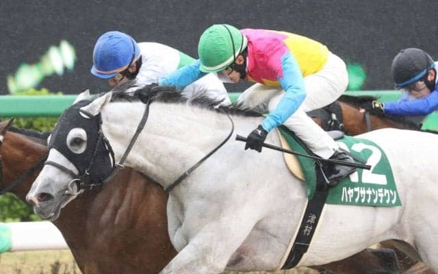 【マーチS】津村「勝ったかどうかわからなかった」ハヤブサナンデクンが重賞初制覇