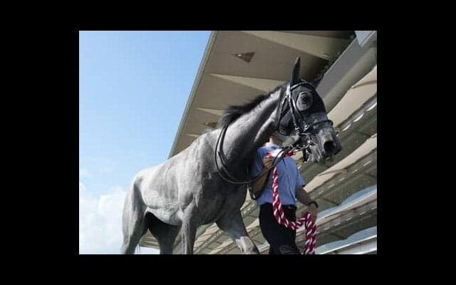 大阪杯で外せない、馬券に絡みまくりのディープインパクトの血 ＧⅠ初制覇を狙う「芝2000ｍ７勝馬」も注目
