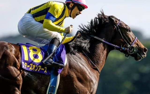 【大阪杯枠順確定】スターズオンアースは6枠11番、ジャックドールは5枠9番