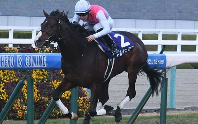 ドルチェモアやオマツリオトコなどNZTに23頭