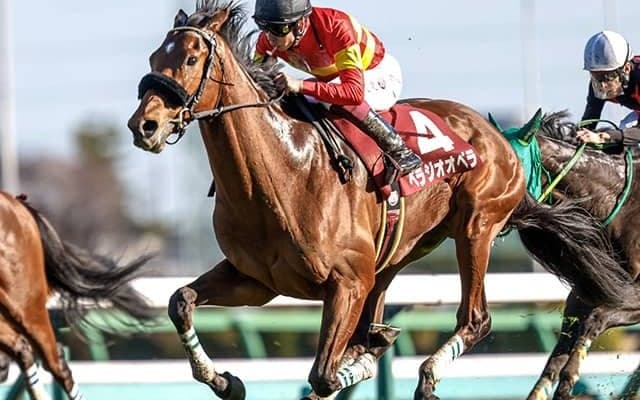 ベラジオオペラやタスティエーラなど皐月賞に20頭