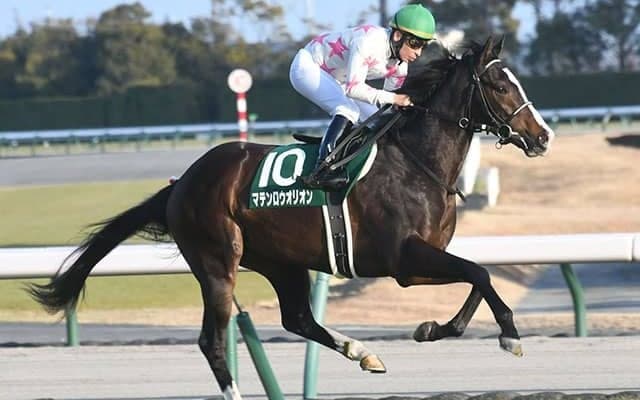 【ダービー卿CT予想】トリッキーな中山コースで行われるマイルハンデ戦