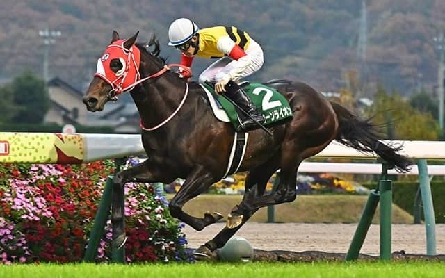 豪G1クイーンエリザベスSの中継決定 8日グリーンチャンネルで