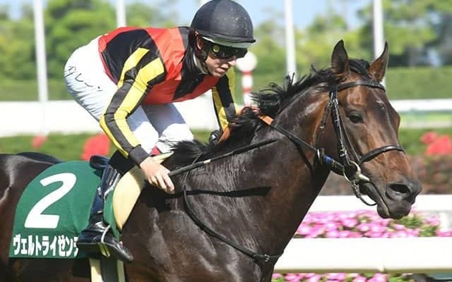 【大阪杯予想】瞬発力よりもロングスパートに耐えられる力が不可欠