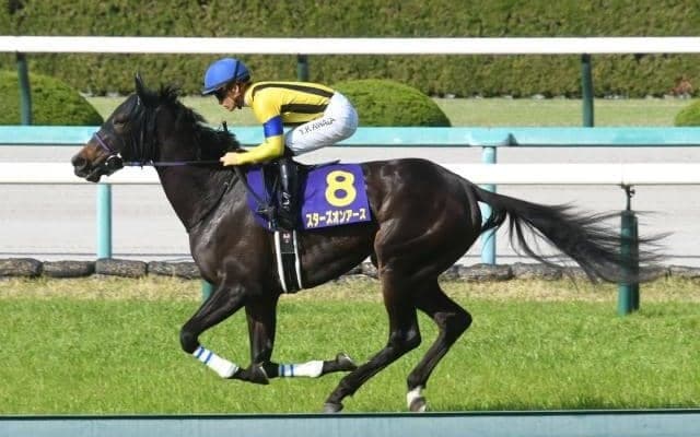 【大阪杯予想】23年間勝利なしの関東馬はジンクスを覆す？ 好調馬番に入った「狙い馬」はどれだ？