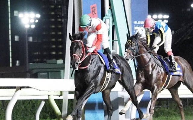 ダノンファラオが競走馬登録抹消