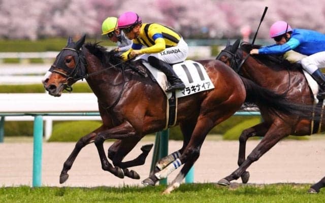 【阪神5R】良血マラキナイアが2勝目
