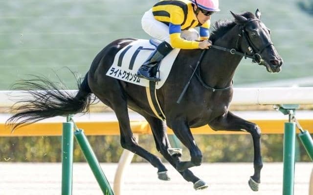 桜花賞でディープインパクト産駒の13年連続クラシック制覇なるか/今週の競馬界の見どころ