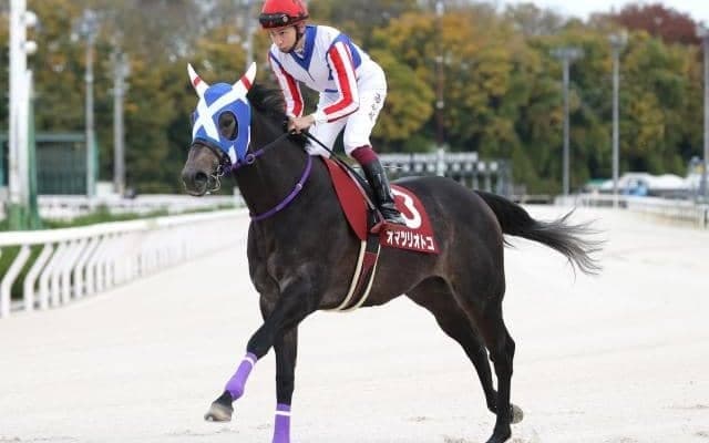 ニュージーランドTではダート適性が武器になる！ 前走13着でも侮れない馬