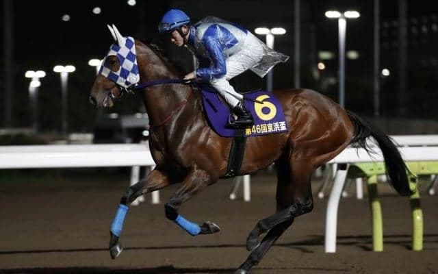 【川崎・クラウンC枠順確定】京浜盃から巻き返し図るポリゴンウェイヴは4枠4番