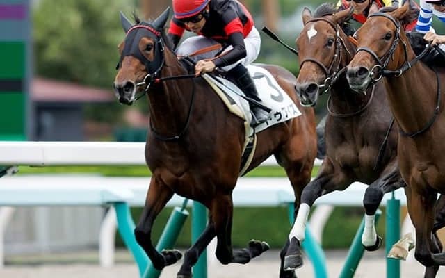 【AI予想・桜花賞】伏兵「1勝馬」に白羽の矢！ 妙味が見込める堅実な上がり