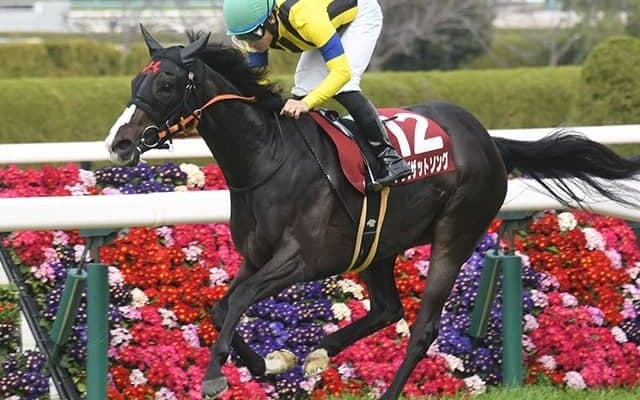 フィリーズレビュー覇者の苦戦続く桜花賞 今年の該当馬はマイル適性で逆風跳ね返す