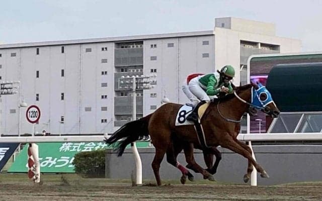 【川崎競馬】JRA新人女性騎手・小林美駒がデビュー初勝利