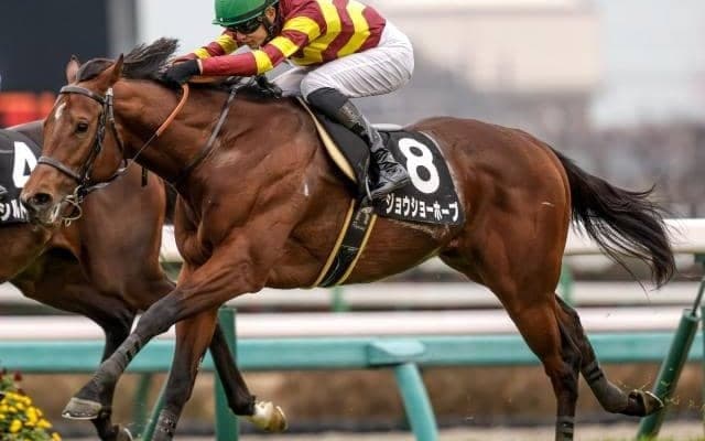 【ニュージーランドT展望】NHKマイルCへ向けた一戦、栗東所属馬が活躍傾向