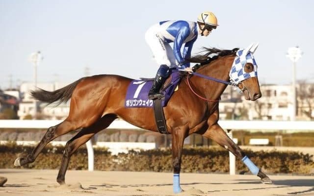 京浜盃から連闘策 重賞勝ち馬がクラウンCで巻き返し図る