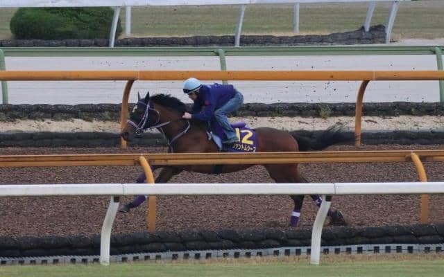 ファントムシーフ、皐月賞1週前追い切り/栗東トレセンニュース