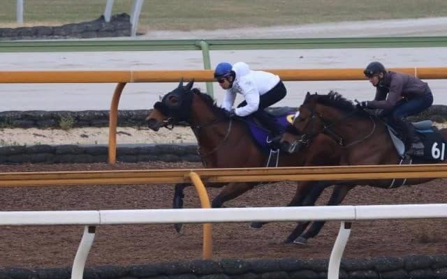 タッチウッド、皐月賞1週前追い切り速報/栗東トレセンニュース