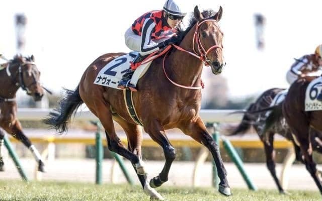 アーリントンC想定 GI馬の半弟など21頭が登録予定