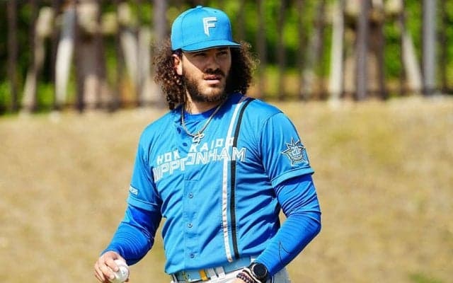 日ハム助っ人ポンセが左大腿四頭筋腱を部分断裂　試合復帰まで4週間の見通し