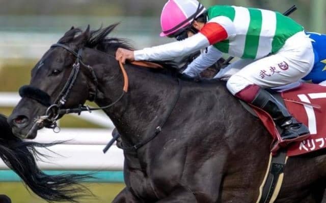 エフフォーリアの妹がクラシックきょうだい制覇へ挑戦 偉大な兄に近づけるか