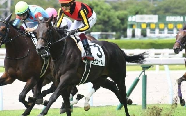 【桜花賞展望】牝馬クラシック第一弾、前走重賞好走組が中心も1番人気の勝利は多くない