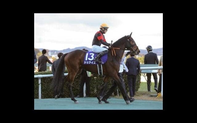 桜花賞は「キングカメハメハの孫」のなかから、良血で成績も安定している「ちょっと穴っぽい」２頭を狙う