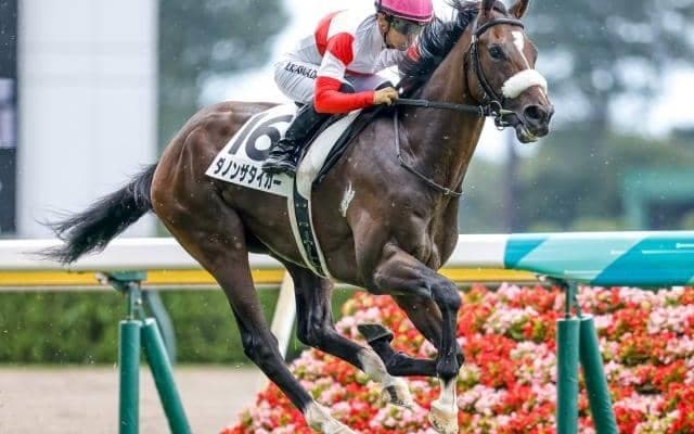 3億円ホースが青葉賞でダービーの権利取り 大舞台へ仕切り直し