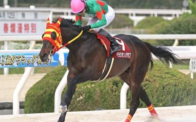 【園田・菊水賞結果】ベラジオソノダラブが逃げ切って重賞3勝目