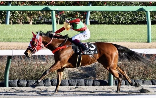 【マリーンC】JRA出走予定馬