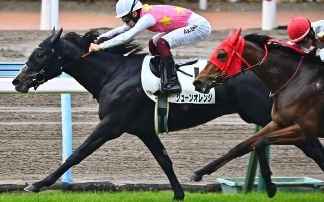 桜花賞は“桜の穴血統”を狙え 曾祖母は94年12番人気激走のツィンクルブライド