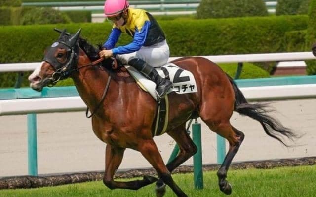 【阪神牝馬S】クロフネ産駒が歴代1位タイの19年連続JRA重賞制覇なるか ママコチャが参戦
