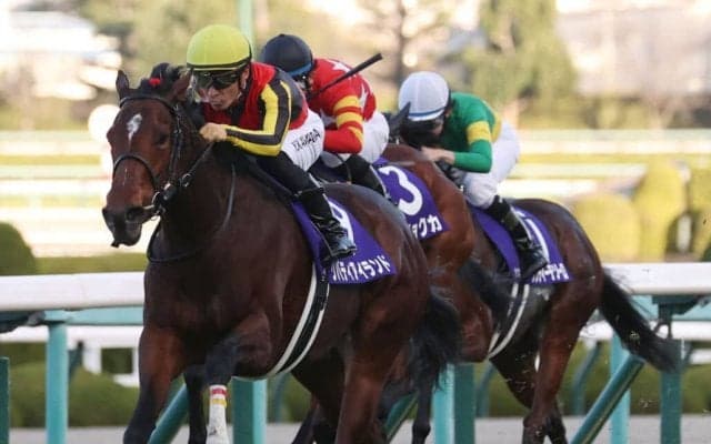 【桜花賞】出走馬の調教後の馬体重