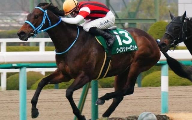 名牝2頭の連続連対記録に並ぶか ウインシャーロットが阪神牝馬Sで快挙挑戦