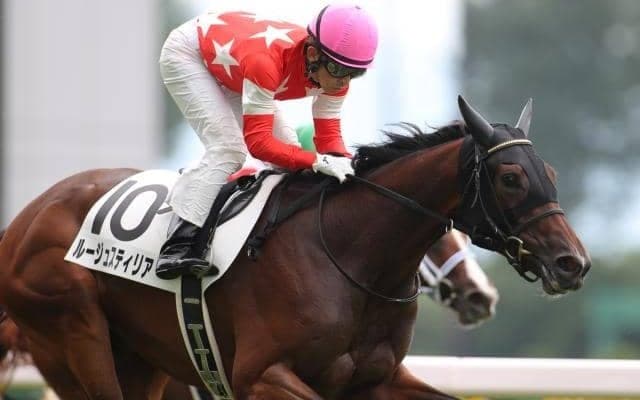 【阪神牝馬S枠順確定】ルージュスティリアは6枠7番、イズジョーノキセキは8枠11番