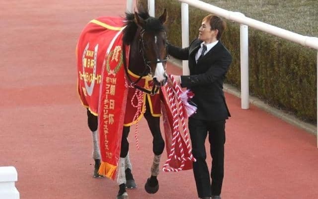 【ニュージーランドT枠順確定】ドルチェモアは4枠8番、ウンブライルは8枠15番