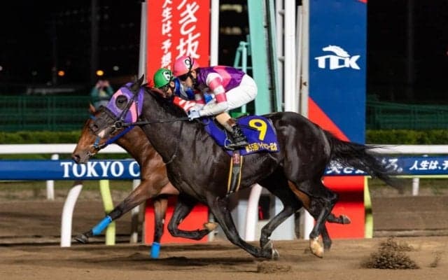 【TCK】マンダリンヒーローが米G1サンタアニタダービー挑戦