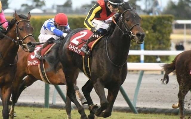 ヴェルトライゼンデに両前浅屈腱炎が判明 今後は9カ月以上の休養を要する見込み