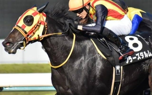 ここ2走は敗因ハッキリ フラーズダルムが阪神牝馬Sで地力証明する