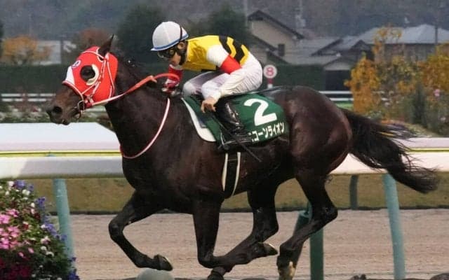 【クイーンエリザベスS】ユニコーンライオン近況…「集中力が高まってきている」