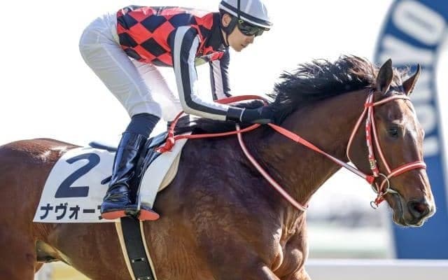 GI馬シュネルマイスターの半弟ほか アーリントンCの出走想定馬25頭