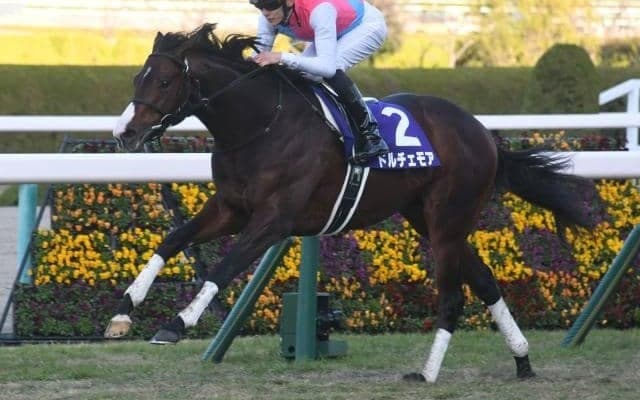 【ニュージーランドT予想】先行力、立ち回りの上手さが求められる中山マイル重賞