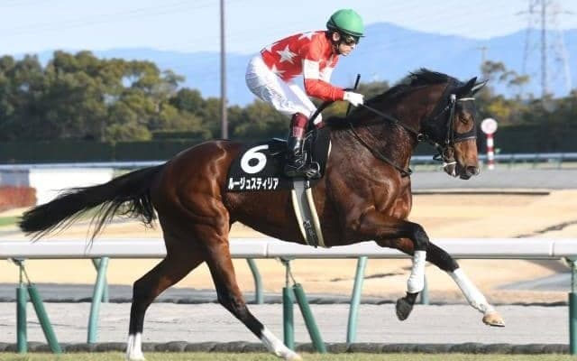 【阪神牝馬S予想】ヴィクトリアマイルへのステップレース 使用コース変更がポイントか