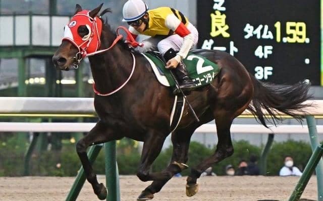 ユニコーンライオンは国内3倍台も英ブックメーカーでは13倍 クイーンエリザベスSの国内外オッズ比較